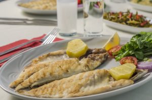 fish