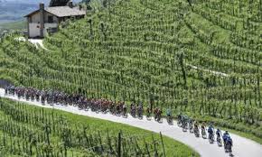 Giro d'Italia immagine 1 Giro d'Italia immagine 1