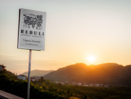 Rebuli-1(A1A01305-Migliorato-NR) Rebuli-1(A1A01305-Migliorato-NR)